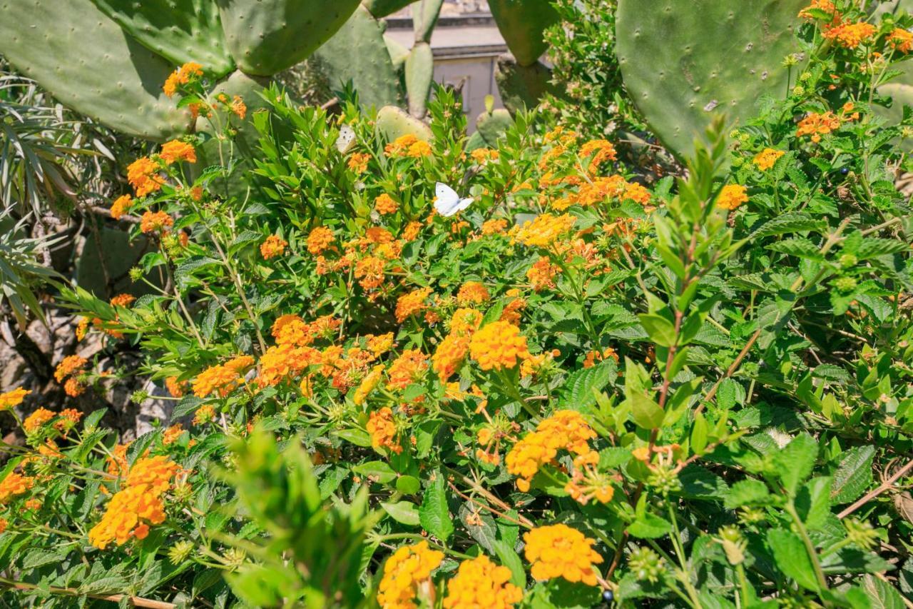 Trigona Garden Suite Noto Luaran gambar
